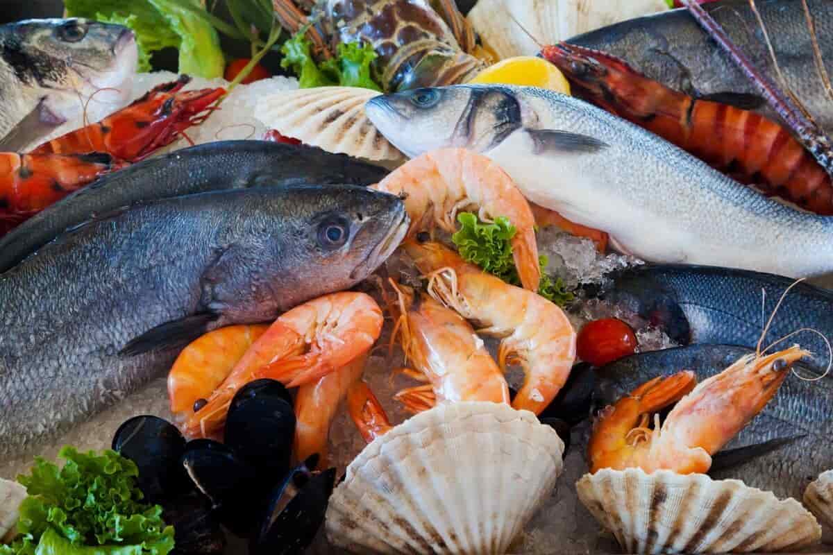 أسعار السمك في سوق العبور