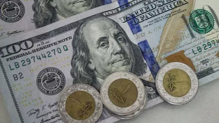 سعر الدولار