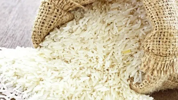 أسعار الأرز اليوم