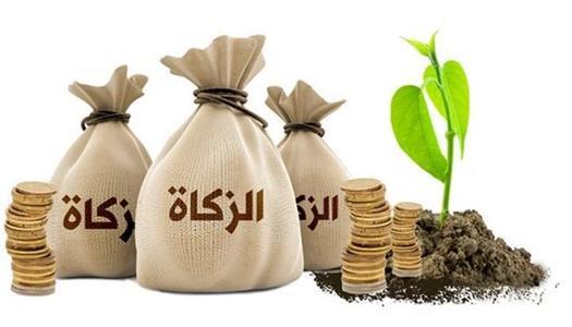 قيمة زكاة الفطر 2026 في مصر وآخر موعد للإخراج قبل صلاة عيد الفطر قيمة زكاة الفطر 2026