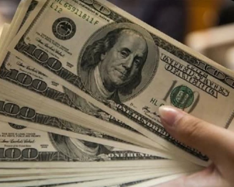 سعر الدولار اليوم في مصر